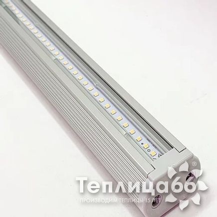 Фитосветильник ДСП 02-56-004 FitoLED 56 Eco Blue